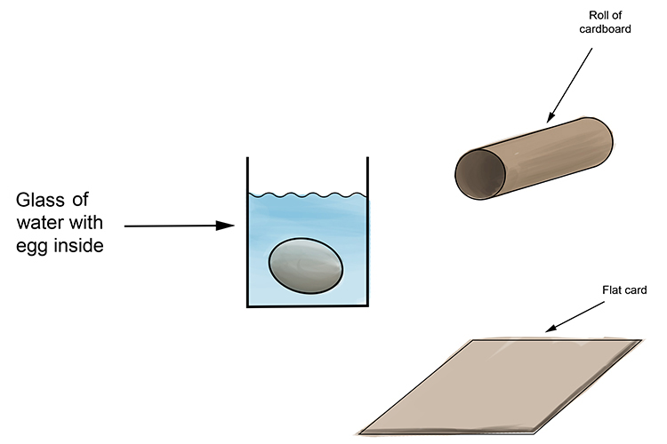 The egg falls into the water when the sheet of card is pulled away.